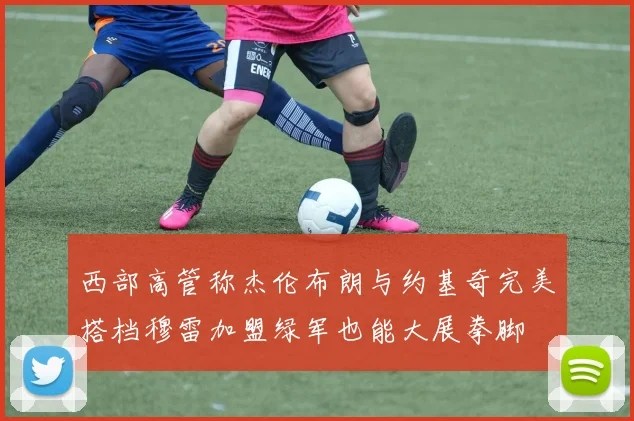 西部高管称杰伦布朗与约基奇完美搭档穆雷加盟绿军也能大展拳脚
