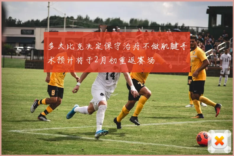 多夫比克决定保守治疗不做肌腱手术预计将于2月初重返赛场